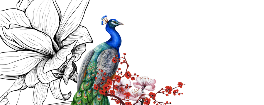 Peacock with vibrant feathers and cherry blossoms, SkinReverse Anti-Ageing Collection Box artwork symbolizing beauty and timeless skincare.