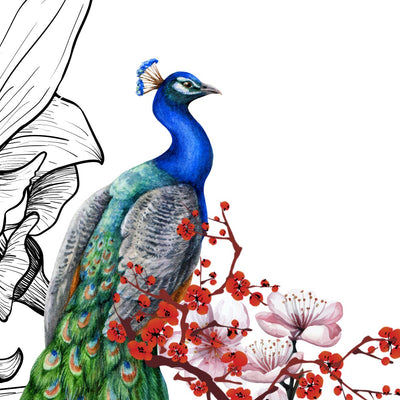 Peacock with vibrant feathers and cherry blossoms, SkinReverse Anti-Ageing Collection Box artwork symbolizing beauty and timeless skincare.